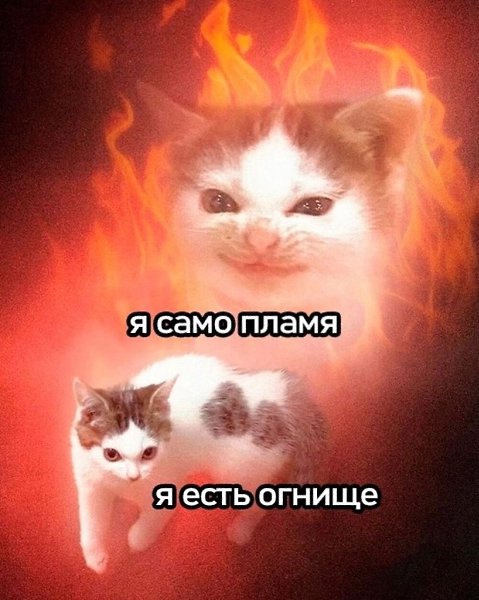���� - 27 �������� 2025 � 09:20