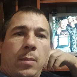 ������, ������, 40 ���