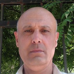 �����, �����������, 52 ����