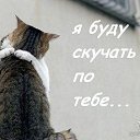 ���� �����, �����������, 33 ���� - ��������� 2 ������ 2026 � ������ ������ ��������