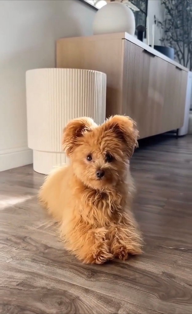 aco e ee   coa ce oca oec oepacoo a  e (c) ... - 2