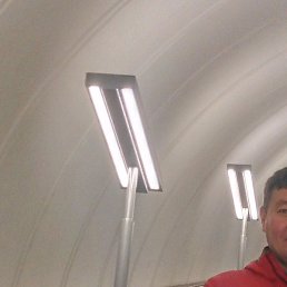 �����, ���������, 42 ����