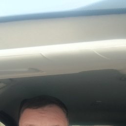 , 41 , -