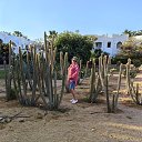 ���� �������, ������ - ��������� 30 ������ 2026 � ������ ���� ����������