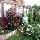 ���� �����, �����, 68 ��� - ��������� 4 ������ 2026 � ������ ���� ����������