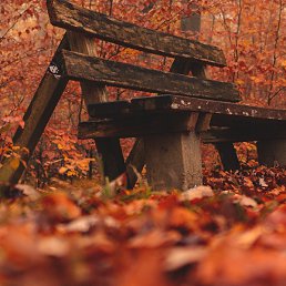 ���������, �������, 35 ���