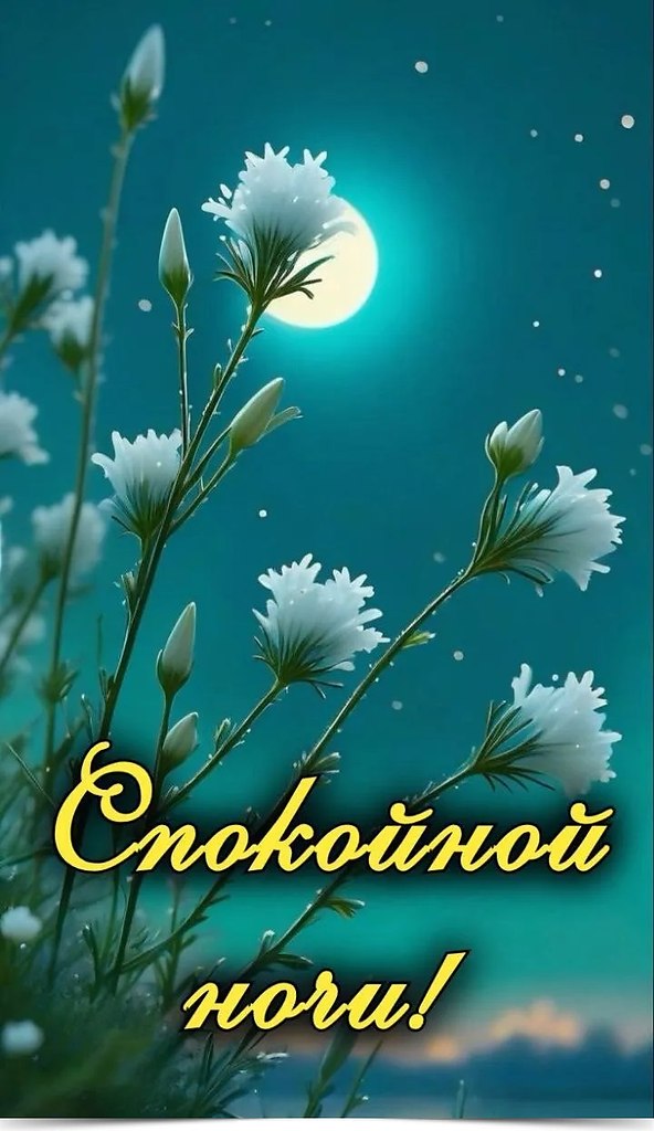 ~~~~~~~~~~~~~~~~~~~~~~
