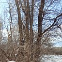 ���� ������, ������, 27 ��� - ��������� 16 ���� 2025 � ������ ���� ����������