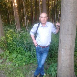 , 56, 
