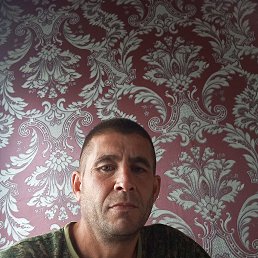 , 41, 