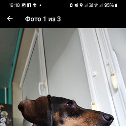 ���� ���������, ����, 52 ���� - ��������� 27 ������� 2024