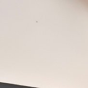 �������, 34 ����, ����-���