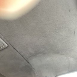 , 41, 