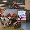 ���� �����, ������������, 47 ��� - ��������� 12 ����� 2026 � ������ ���� ����������