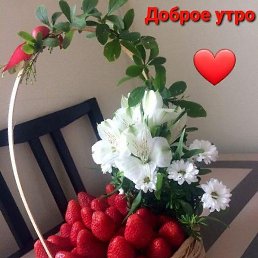 ������, �������, 48 ���