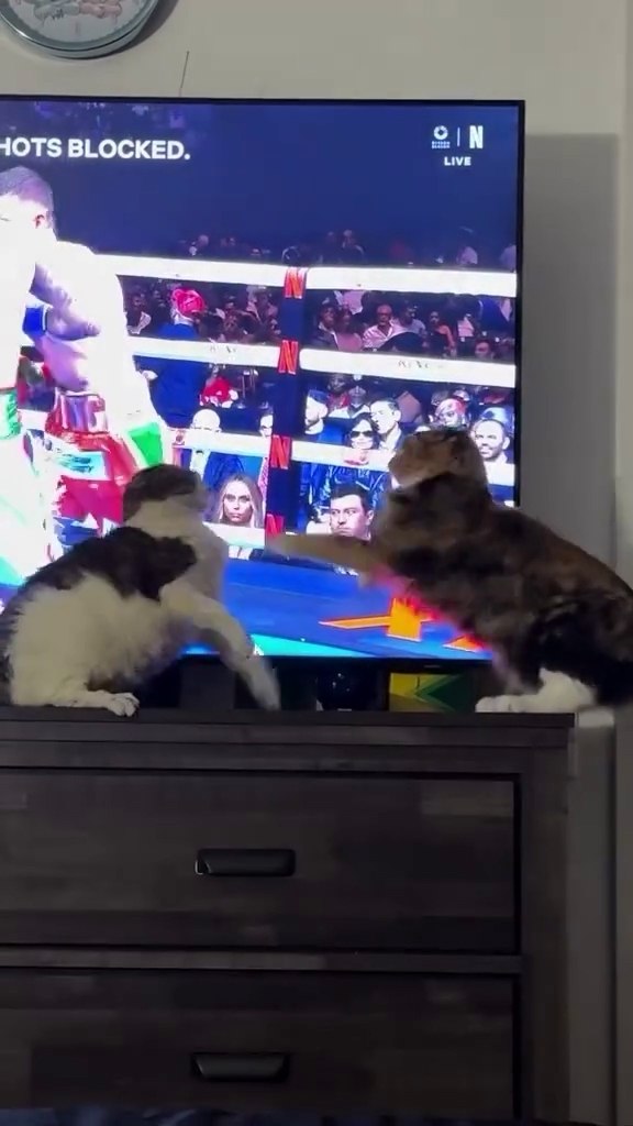 ���, ��� ������, ������� �� �����!)