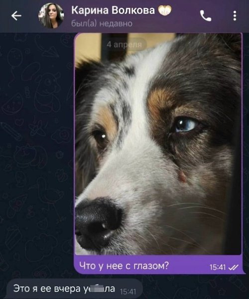 oa o  apa apaoa oaac  ac co  oocoo oe Dogown. apa ... - 3