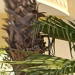 ������, �����, 47 ���