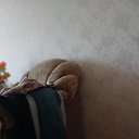 ���� ������, ������� ����, 66 ��� - ��������� 2 ������ 2025 � ������ ���� ����������