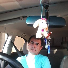 , 51, 