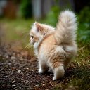���� �����, ��������, 44 ���� - ��������� 2 ����� 2026 � ������ ���� ����������