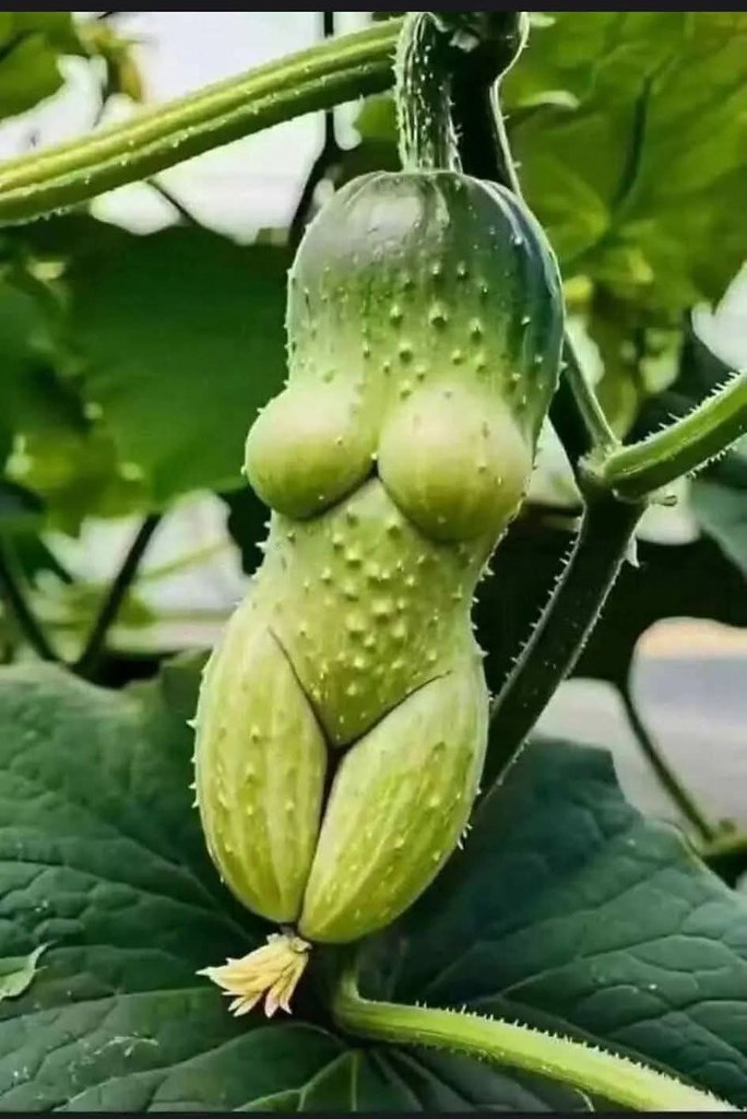 :)  -  ))