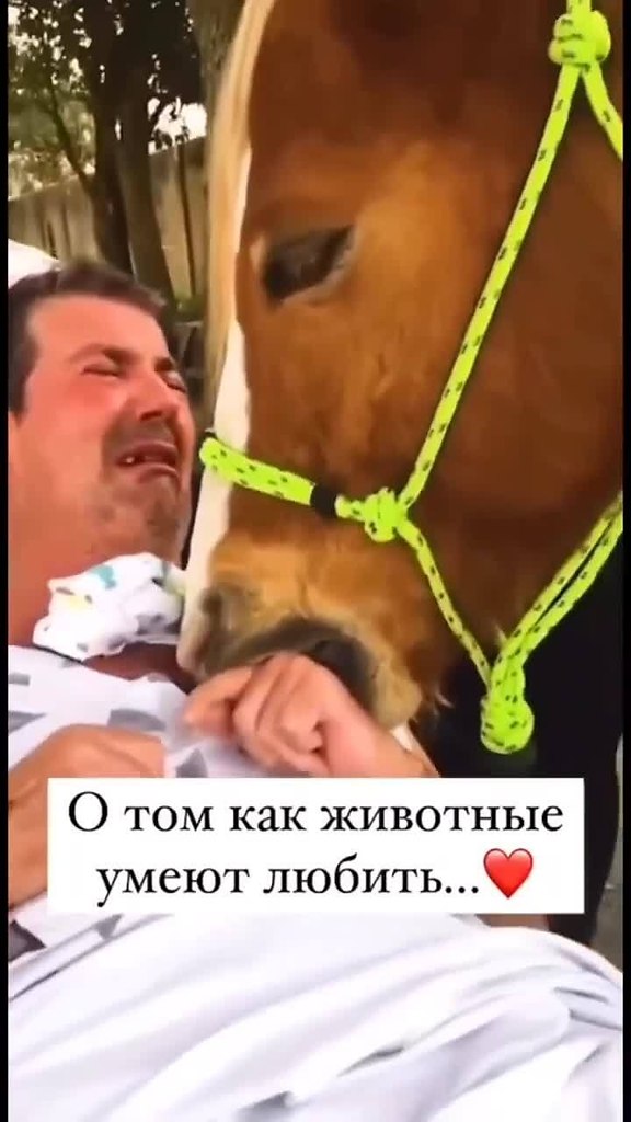 ap, oope a ce o cpe o. oe  acoo cpeo, o o ...