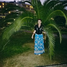 �������, ��������, 68 ���