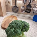 ���� ������ ., ������� - ��������� 31 ������� 2025 � ������ ���� ����������