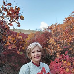 , 53, 