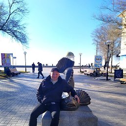 ������, ��������, 45 ���