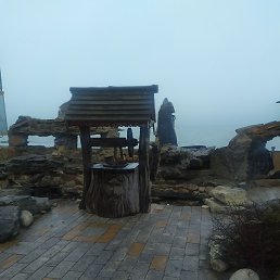 ���, ������, 49 ���