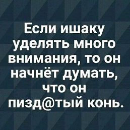 ���� ��������, �����������, 51 ��� - ��������� 10 ���� 2025