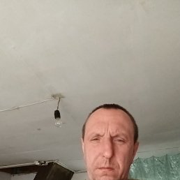 , 40, 