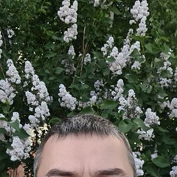 , 37, 
