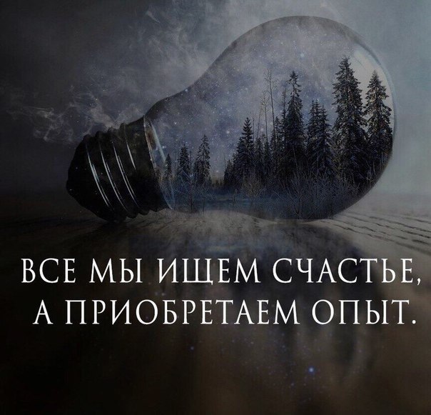 ☆ ☆ - 21  2024  04:28