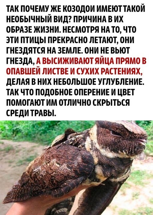�����o� �� �o�o�� �a �pa�o����o�! - 3