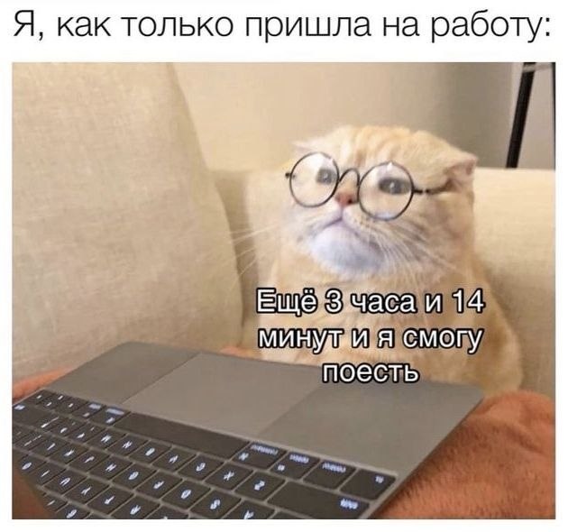  - 29  2025  18:24