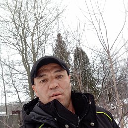 ���� �����, ������, 43 ���� - ��������� 23 ������� 2024