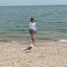 �i��, �����������
