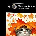 ���� �������, ������, 55 ��� - ��������� 10 ������ 2025 � ������ ���� ����������