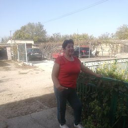 �������, ������, 37 ���