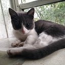 ���� ������, ������, 67 ��� - ��������� 16 ������ 2025 � ������ ������ ��������