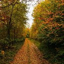 ���� �����, ������, 68 ��� - ��������� 31 ������ 2024