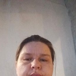 ����, 41 ���, ����