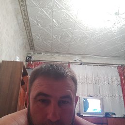 , 35, 