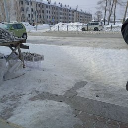 �����, ������, 28 ���