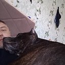 ���� ���������, ������, 41 ��� - ��������� 7 ������ 2026