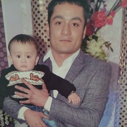 , 37, 