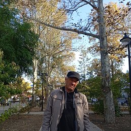 ������ ���������, 54 ����, ������